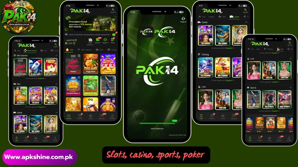 PAK14 Game